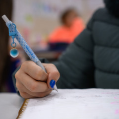 Apesar da mudança, comunidade escolar continuará participando por meio do voto (Foto: Cristiano Rosa/Agência TraçoD)