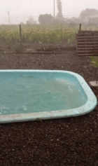 No interior do município, moradores registraram o momento em que o granizo caiu (Foto: Divulgação)