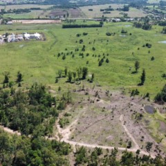 Reportagem do Grupo Folha do Mate confirmou a extração. Imagens de drone – a 200 metros de altura – evidenciam a clareira em meio à vegetação