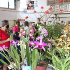 Mais de 1.000 plantas são aguardadas na exposição