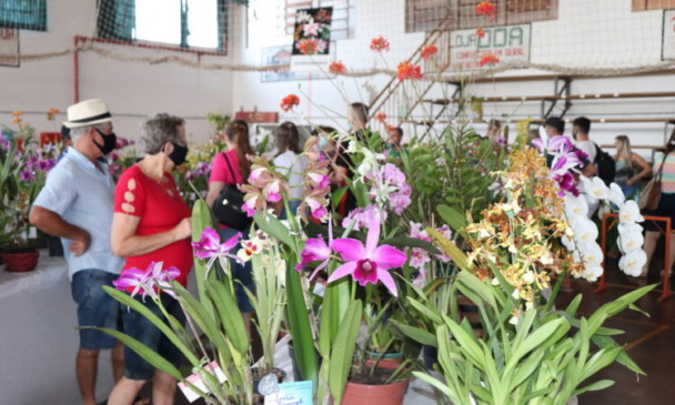 Mais de 1.000 plantas são aguardadas na exposição