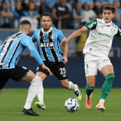 Grêmio e Palmeiras se enfrentaram na noite desta terça (Foto: Cesar Greco/Palmeiras)