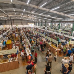 (Foto: Cristiano Rosa/ Divulgação)