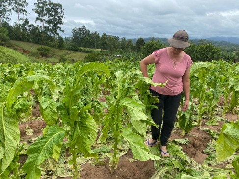 Janice Eichelberger lamenta os estragos (Foto: Júlia Brandenburg/Folha do Mate)