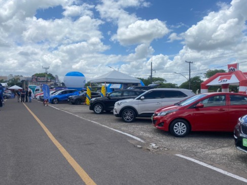 São 100 opções de veículos para os visitantes (Foto: Júlia Brandenburg/Folha do Mate)