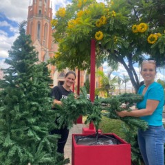 Praça Matriz receberá novidades neste ano (Foto: Júlia Brandenburg/Folha do Mate)