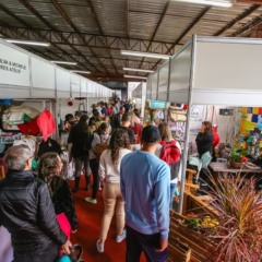 Espaços serão detalhados (Foto: DIvulgação/Fenachim)