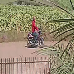 Imagem de uma câmera de segurança de um morador mostram a moto e o assaltante (Foto: Reprodução/FM)