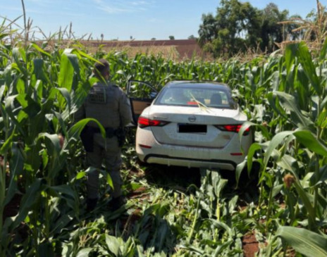 Nissan roubado em Lajeado foi abandonado em uma lavoura de milho (Foto: Brigada Militar/Divulgação)