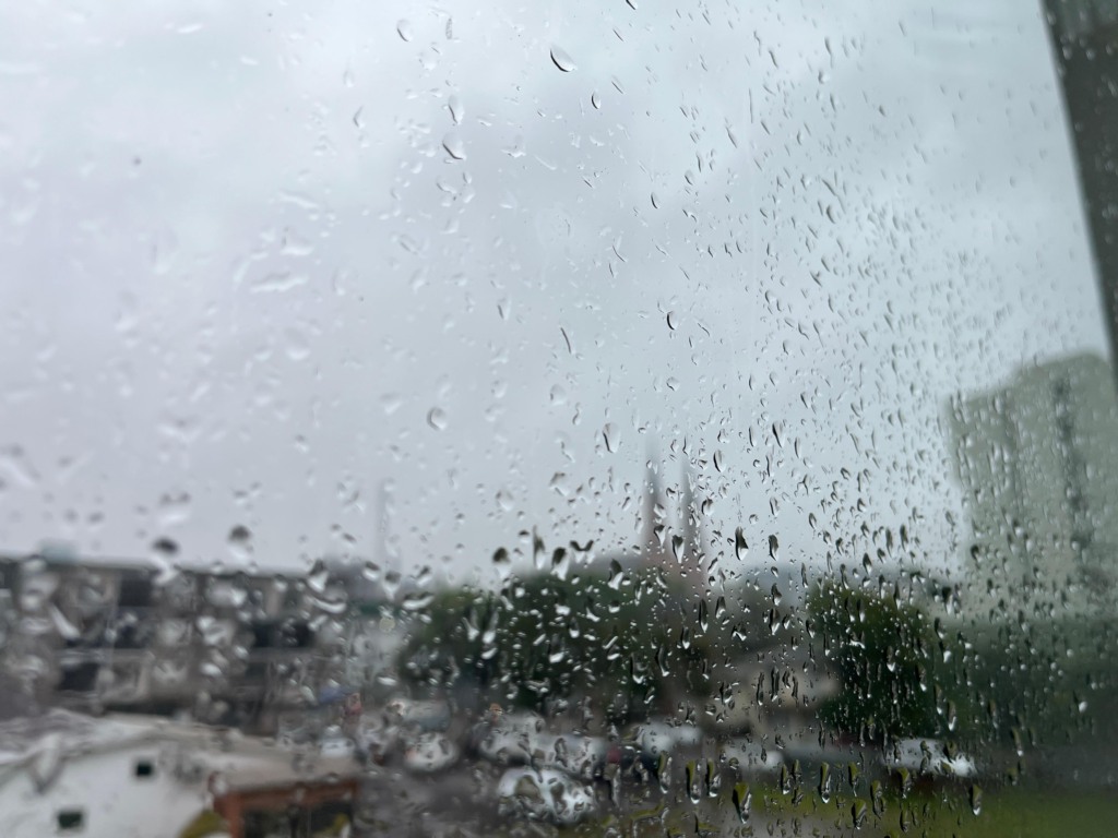 (Foto: Júnior Posselt/Folha do Mate) (Foto: Júnior Posselt/Folha do Mate)