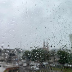 (Foto: Júnior Posselt/Folha do Mate)