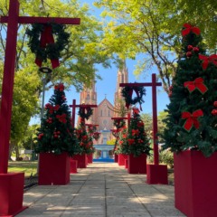 Árvores de Natal enfeitam o Centro em Venâncio Aires (Foto: Júlia Brandenburg/Folha do Mate)