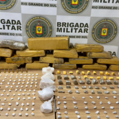 Apreensão foi feita na mata, no bairro Dietrich (Foto: Brigada Militar/Divulgação)