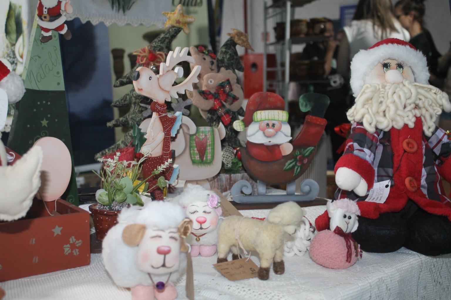 Foto: Juliana Bencke/Folha do Mate