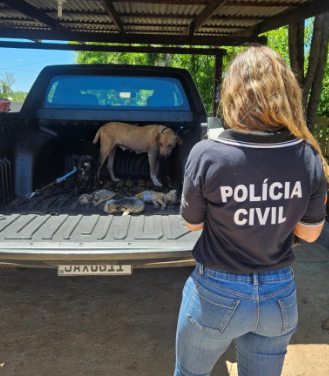 Cães magros e com sarna foram recolhidos e encaminhados a atendimento veterinário (Foto: Polícia Civil/Divulgação) Cães magros e com sarna foram recolhidos e encaminhados a atendimento veterinário (Foto: Polícia Civil/Divulgação)