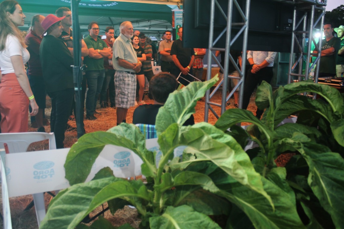 Lavouras demonstrativas foram conduzidas pela equipe da CTA Lavouras demonstrativas foram conduzidas pela equipe da CTA