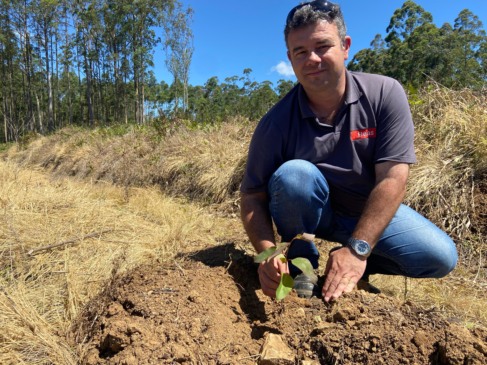 Henrique Silveira dos Santos, coordenador florestal da Haas Madeiras, com uma muda da espécie Triclone, que não é encontrada na região serrana de Venâncio (Foto: Débora Kist/Folha do Mate)