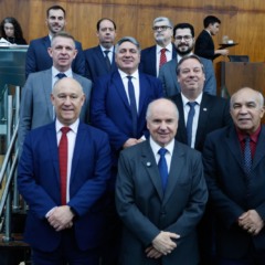 Representantes de hospitais e autoridades políticas participaram do Grande Expediente (Foto: AI Airton Artus)