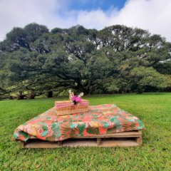 Venâncio faz parte do mapa (Foto: Divulgação)