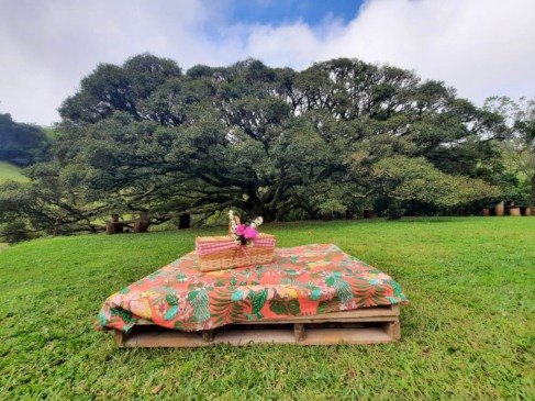 Venâncio faz parte do mapa (Foto: Divulgação)