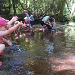 Brincar e se refrescar no riacho foram ponto alto da trilhas