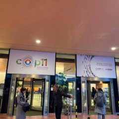 COP 11 foi realizada de 17 a 22 de novembro, em Genebra