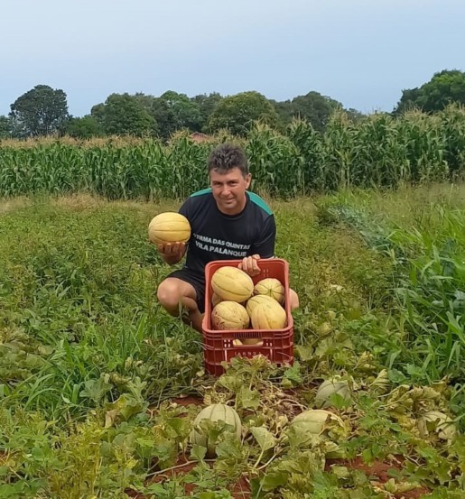 Raul de Azeredo Coutinho Neto é agricultor e tem a plantação em Linha Herval (Foto: Arquivo pessoal)