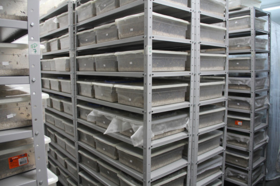 Biofábrica (Foto: Bruna Lovato/Unisc)