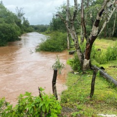 Arroio Castelhano, na tarde desta quarta-feira, 10 (Foto: Júlia Brandenburg/Folha do Mate)
