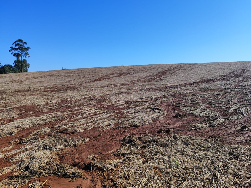 Na propriedade de Edson de Brito, em Linha Herval, parte da área que sofreu com erosão após enxurrada de 2024 (Foto: Arquivo pessoal) Na propriedade de Edson de Brito, em Linha Herval, parte da área que sofreu com erosão após enxurrada de 2024 (Foto: Arquivo pessoal)