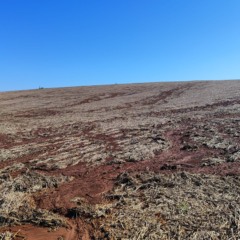 Na propriedade de Edson de Brito, em Linha Herval, parte da &aacute;rea que sofreu com eros&atilde;o ap&oacute;s enxurrada de 2024 (Foto: Arquivo pessoal)