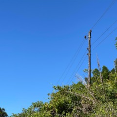 Rede ainda &eacute; composta por postes de madeira (Foto: J&uacute;nior Posselt/Folha do Mate)
