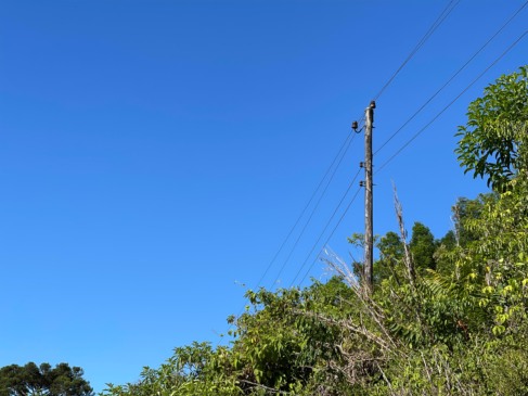 Rede ainda é composta por postes de madeira (Foto: Júnior Posselt/Folha do Mate)
