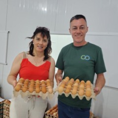 Mônica Moraes, presidente da Cooprova, e Roberto Leandro, gestor do entreposto de ovos da cooperativa (Foto: Débora Kist/Folha do Mate)