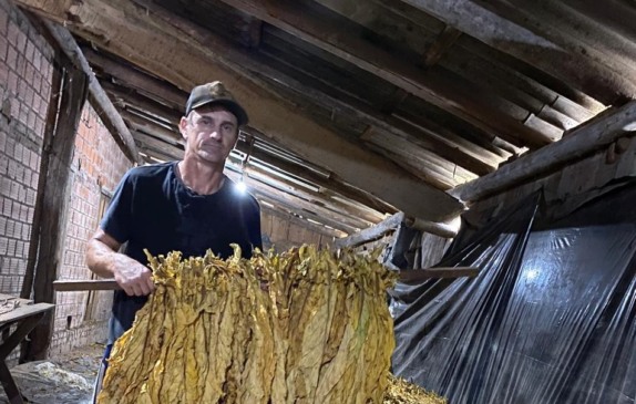 Erni Goettems é produtor de tabaco em Linha Isabel e também espera que as empresas comprem bem (Foto: Arquivo pessoal)