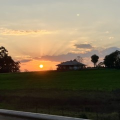 Longos per&iacute;odos sem chuva s&atilde;o esperados para a esta&ccedil;&atilde;o (Foto: J&uacute;nior Posselt/Folha do Mate)