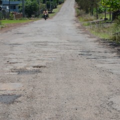 (Foto: Alvaro Pegoraro/Folha do Mate)