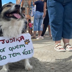Fil&oacute; foi adotada por casal do bairro Coronel Brito h&aacute; cerca de oito anos