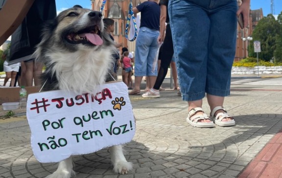 Filó foi adotada por casal do bairro Coronel Brito há cerca de oito anos