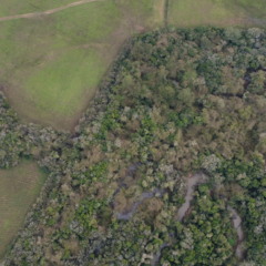 Ven&acirc;ncio Aires pode ter outras unidades de conserva&ccedil;&atilde;o privadas, a exemplo da RPPN Ronco do Bugio, em Linha Hansel