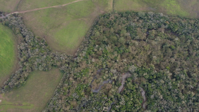 Venâncio Aires pode ter outras unidades de conservação privadas, a exemplo da RPPN Ronco do Bugio, em Linha Hansel