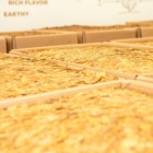 (Foto: Felipe Krause/Pixel18dezoito)