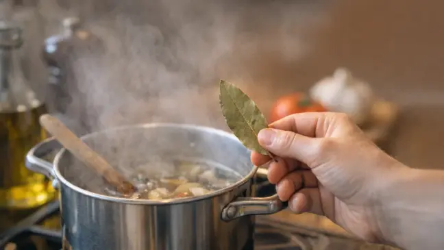 Você pode estar anulando 3 benefícios energéticos das folhas de louro