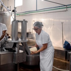 Ven&acirc;ncio Aires conta com 14 agroind&uacute;strias registradas no SIM, todas voltadas &agrave; produ&ccedil;&atilde;o de prote&iacute;na animal (Foto: AI Prefeitura)