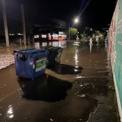 (Foto: J&uacute;nior Posselt/Folha do Mate)