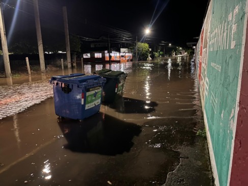 (Foto: Júnior Posselt/Folha do Mate)