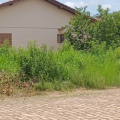 A partir das vistorias realizadas, foram emitidas 313 notifica&ccedil;&otilde;es aos propriet&aacute;rios respons&aacute;veis pelos im&oacute;veis (Foto: Divulga&ccedil;&atilde;o/Prefeitura)