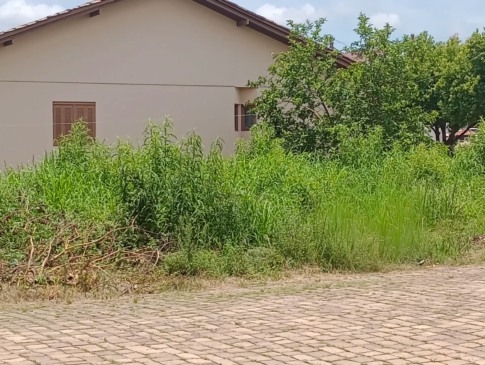 A partir das vistorias realizadas, foram emitidas 313 notificações aos proprietários responsáveis pelos imóveis (Foto: Divulgação/Prefeitura)