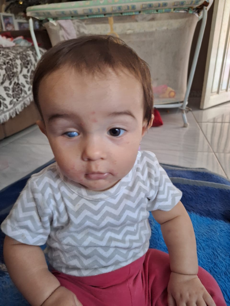 (Foto: Divulgação) (Foto: Divulgação)