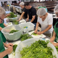  Desde o come&ccedil;o da tarde de ontem, volunt&aacute;rios se dedicam ao preparo de temperos para o pastel do Basti&atilde;o e galinhada (Foto: J&uacute;nior Posselt/Folha do Mate)